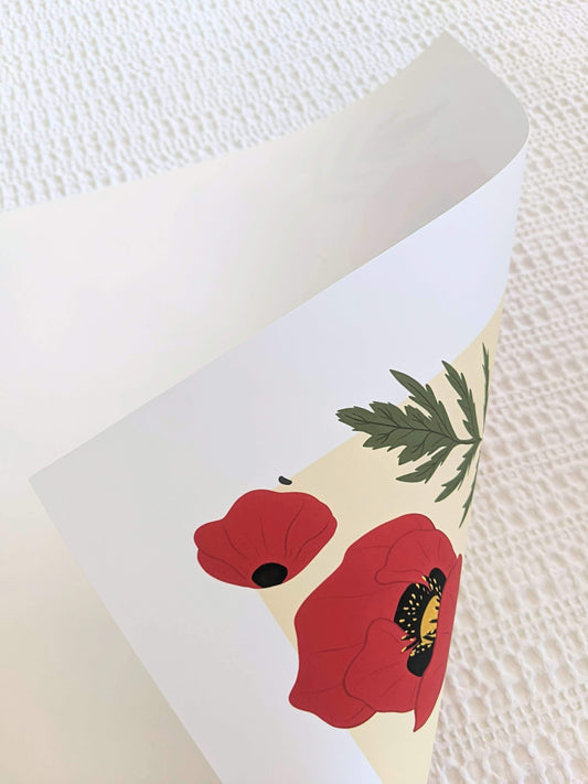 Illustration - Fleur de juin