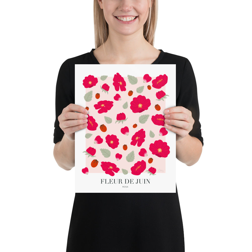 Illustration - Fleur de juin