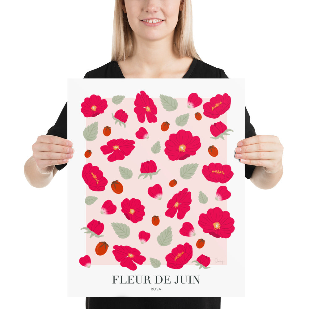 Illustration - Fleur de juin
