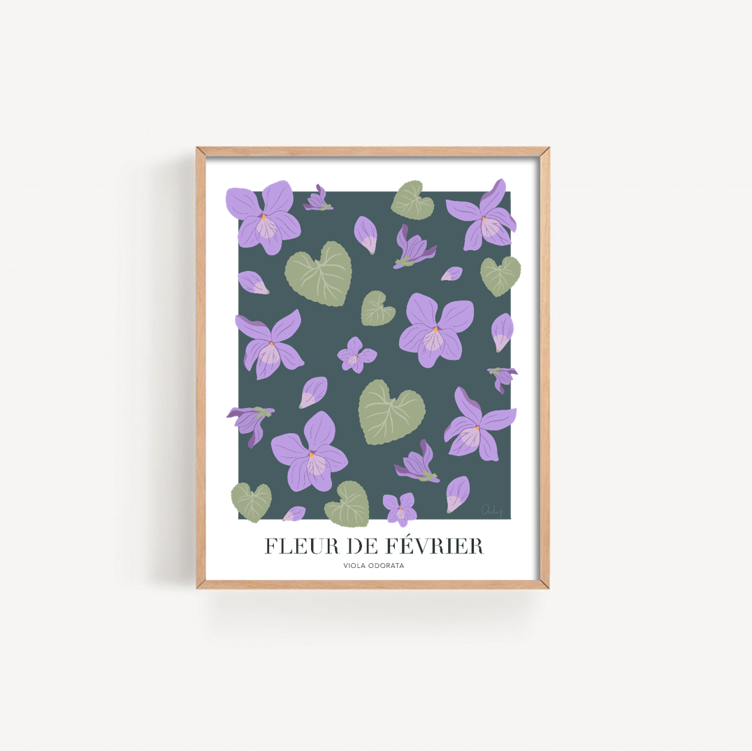 Illustration - Fleur de février