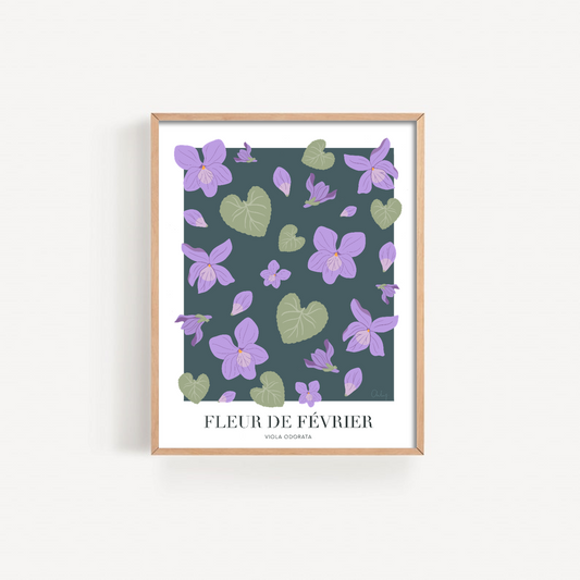 Illustration - Fleur de février