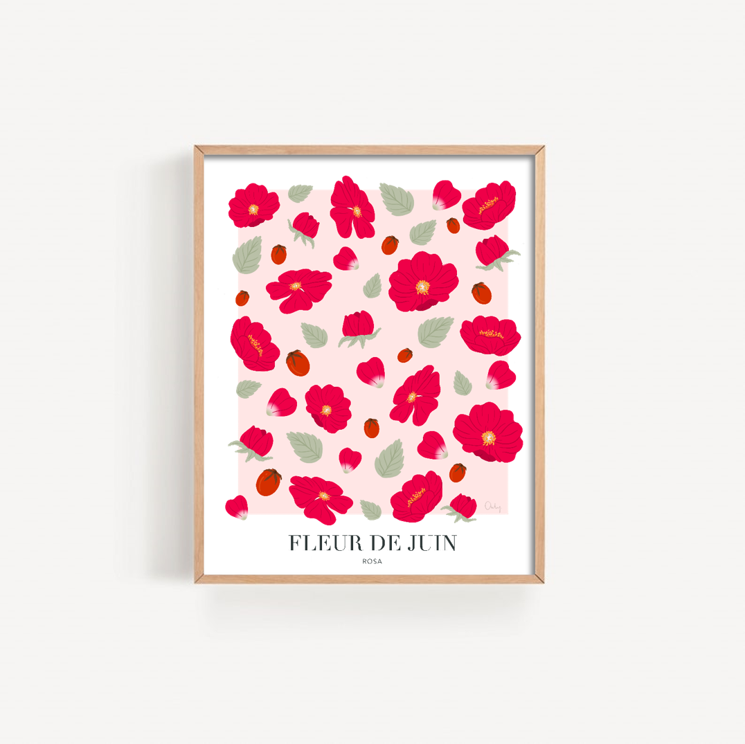 Illustration - Fleur de juin
