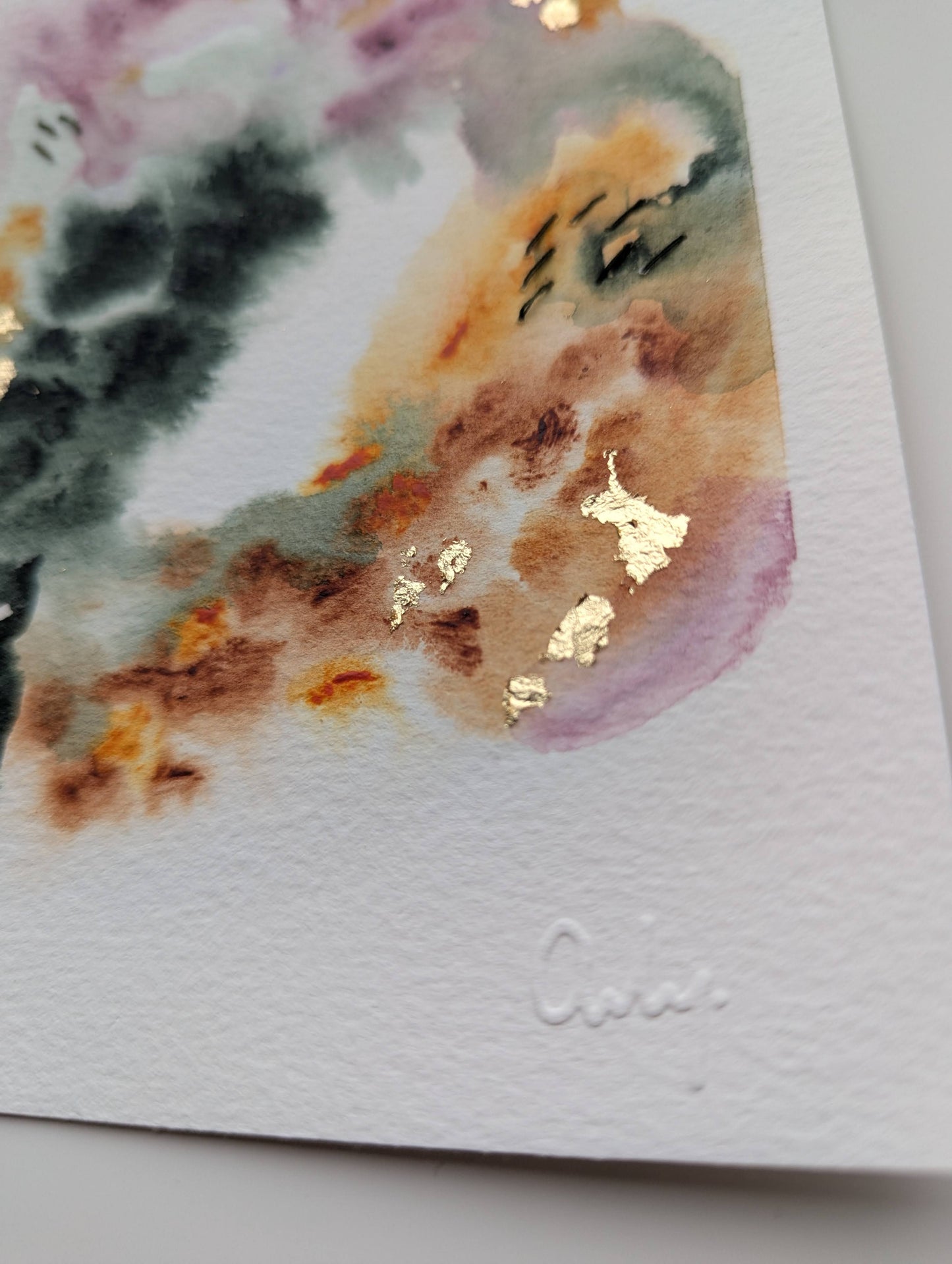 Cannelle & Chrysanthème